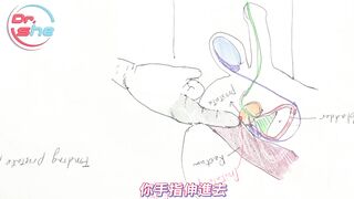 【許藍方】正妹博士性學教室 #DrShe許藍方 - 032 - #DrShe許藍方 男人的敏感帶除了龜頭還有別的!_ 仔細看 這幾個地方也能讓你爽歪歪!