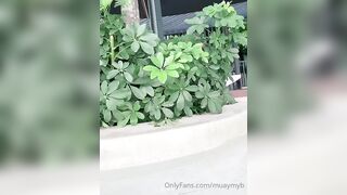 童顏巨乳 反差網紅muaymyb - 36