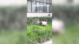 超級大膽的小林跑去體育生教室窗口尿尿